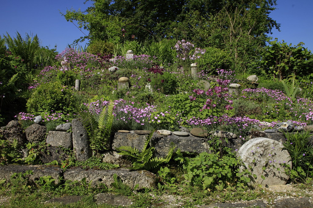 Steine und Pflanzen in Veronikas Garten
